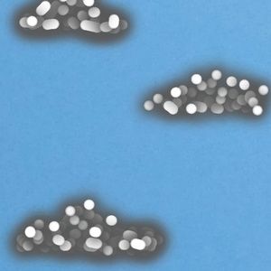 Meet your Posher, Isabelle